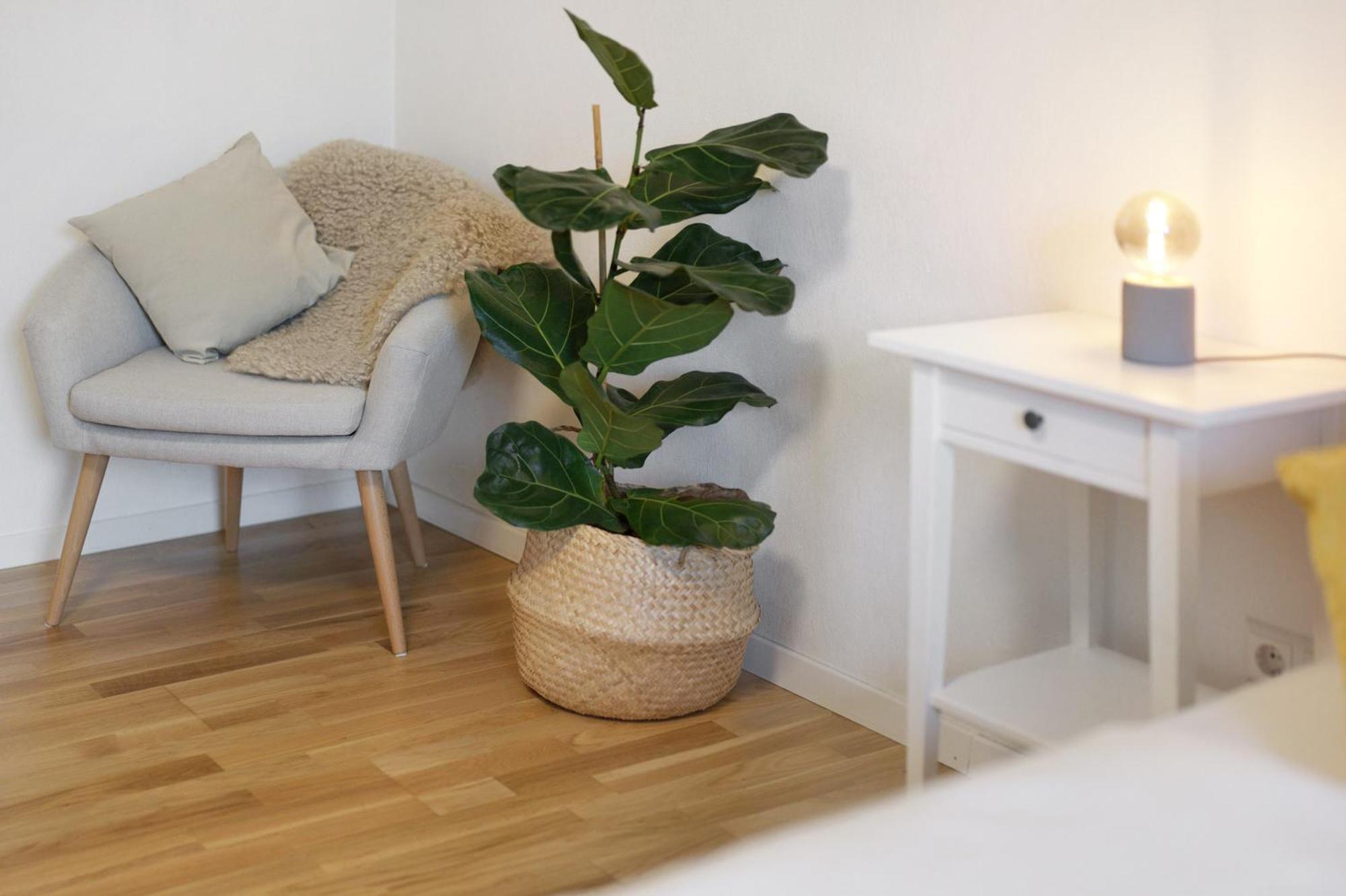 Ferienwohnung Obsthof Fiess Oberkirch  Exterior foto
